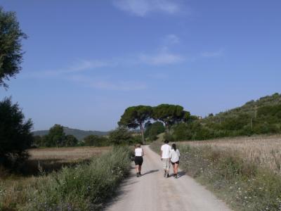 wandelen